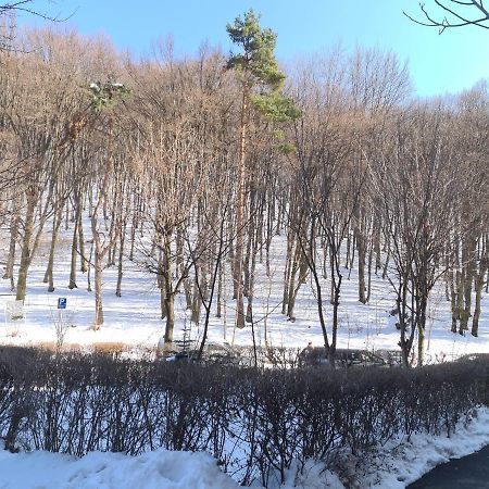Artstudio 브라쇼브 외부 사진