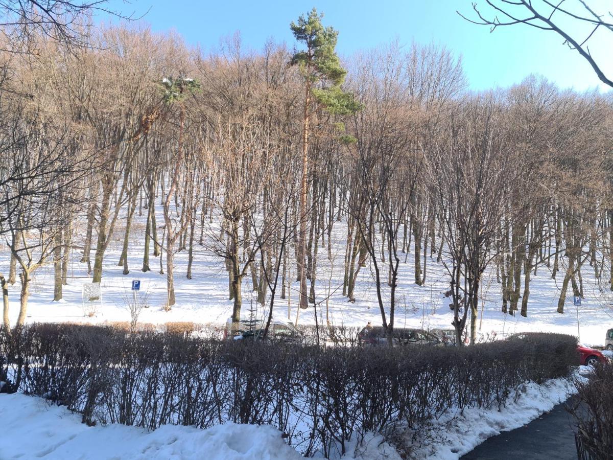Artstudio 브라쇼브 외부 사진